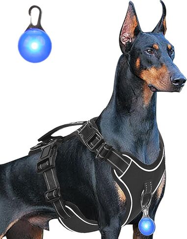 Dog Harness Navy Blue No Pull Y Shaped for Medium Sized Dog, Small to Large Dogs Reflective Adjustable Easy Walk Puppy Harnesses,Heavy Duty Girl Boy Pet Vest 3 Buckle with Handle & Light,M in Saudi Arabia