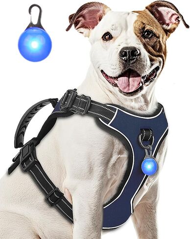 Dog Harness Navy Blue No Pull Y Shaped for Medium Sized Dog, Small to Large Dogs Reflective Adjustable Easy Walk Puppy Harnesses,Heavy Duty Girl Boy Pet Vest 3 Buckle with Handle & Light,M in Saudi Arabia
