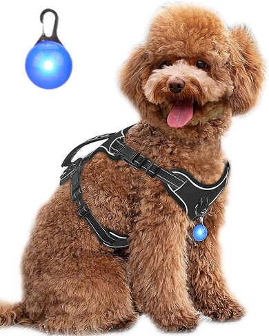 Dog Harness Navy Blue No Pull Y Shaped for Medium Sized Dog, Small to Large Dogs Reflective Adjustable Easy Walk Puppy Harnesses,Heavy Duty Girl Boy Pet Vest 3 Buckle with Handle & Light,M in Saudi Arabia