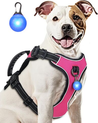 Dog Harness Navy Blue No Pull Y Shaped for Medium Sized Dog, Small to Large Dogs Reflective Adjustable Easy Walk Puppy Harnesses,Heavy Duty Girl Boy Pet Vest 3 Buckle with Handle & Light,M in Saudi Arabia