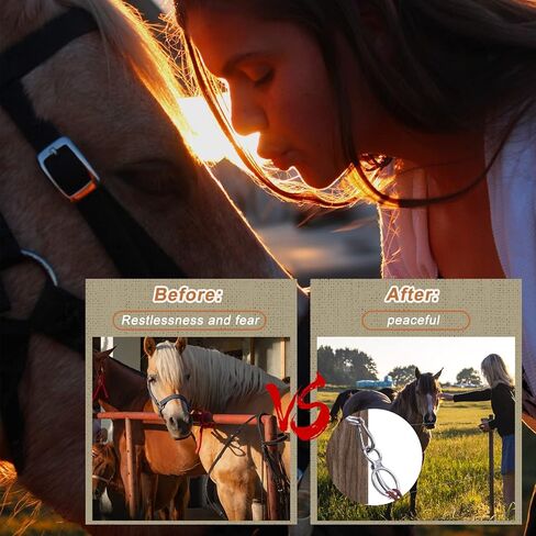 حلقة ربط للأحصنة، ملحقات آمنة للأحصنة، لوازم حلقة ربط للأحصنة لمنع الحصان من التراجع in Kuwait