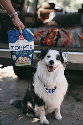 PLATO Pet Treats Dog Food Toppers - Air-Dried Dog Food Toppers for Dry Food - with Collagen to Support Skin and Coat Health - Chicken and Collagen Recipe 12oz in Saudi Arabia