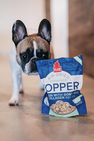 PLATO Pet Treats Dog Food Toppers - Air-Dried Dog Food Toppers for Dry Food - with Collagen to Support Skin and Coat Health - Chicken and Collagen Recipe 12oz in Saudi Arabia
