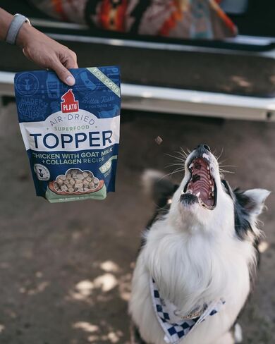 PLATO Pet Treats Dog Food Toppers - Air-Dried Dog Food Toppers for Dry Food - with Collagen to Support Skin and Coat Health - Chicken and Collagen Recipe 12oz in Saudi Arabia