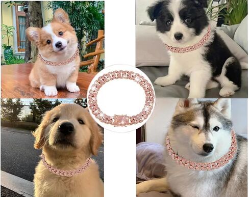 Cuban Link Dog Collar Gold Crystal Dog Necklace Metal Chain Collar with Design Secure Buckle Pet Collar Jewelry Accessories for Small Medium Large Dogs Cats(22inch) in Saudi Arabia