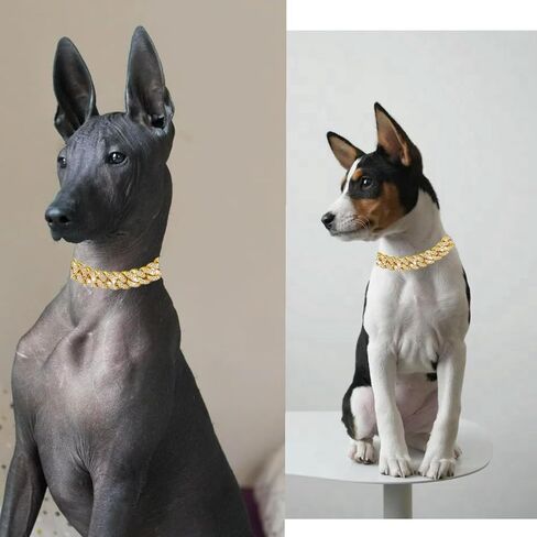 Cuban Link Dog Collar Gold Crystal Dog Necklace Metal Chain Collar with Design Secure Buckle Pet Collar Jewelry Accessories for Small Medium Large Dogs Cats(22inch) in Saudi Arabia
