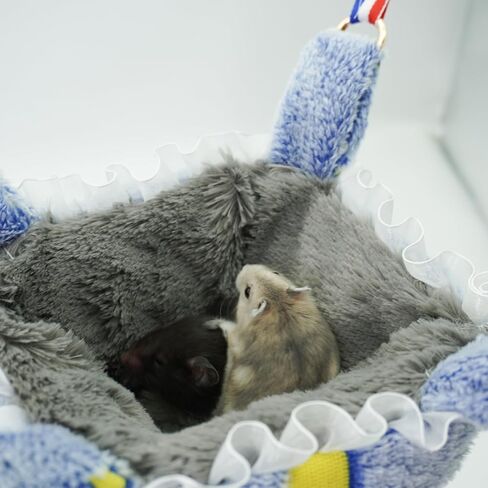 Small Animal Noctilucent Hammock for Cage Hanging Ferret Bed Ferret Cage Accessories Adjustable Straps - Perfect Small Pet Bed or Hanging Hammock Bed Great Guinea Pig Bed(Colorful) in Kuwait
