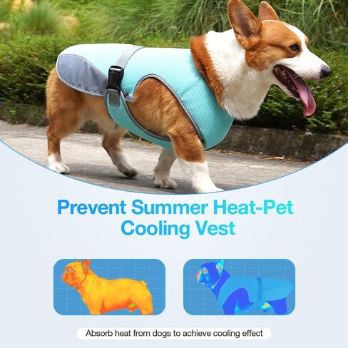 Dog Cooling Shirts, Lightweight Jacket Dog Cooling Vest for Summer, UV Protection Cooling Harness for Outdoor Activity with Breathable Mesh(Blue, Medium) in Saudi Arabia