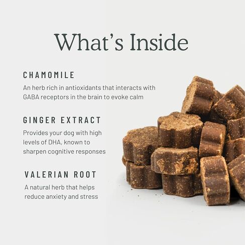 مضغ مكمل لصحة الجهاز الهضمي للكلاب، 90 مضغ ناعم، نكهة الدجاج، يدعم الهضم والمناعة، مع مواد ما قبل وبرو وما بعد الحيوية، دكتوراه في تغذية الحيوانات، تم إنتاجه في الولايات المتحدة الأمريكية in Kuwait