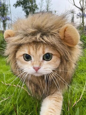Lion Mane Costume for Cat, Cat Clothes Lion Mane Wig Funny Cat Halloween Costumes, Lion Costume for Cats and Kittens, Ideal for Halloween, Cat Birthday, Cat Cosplay, Cat Outfits in Saudi Arabia