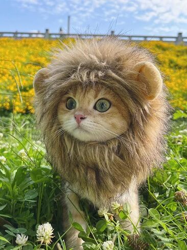 Lion Mane Costume for Cat, Cat Clothes Lion Mane Wig Funny Cat Halloween Costumes, Lion Costume for Cats and Kittens, Ideal for Halloween, Cat Birthday, Cat Cosplay, Cat Outfits in Saudi Arabia