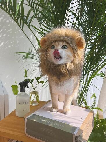 Lion Mane Costume for Cat, Cat Clothes Lion Mane Wig Funny Cat Halloween Costumes, Lion Costume for Cats and Kittens, Ideal for Halloween, Cat Birthday, Cat Cosplay, Cat Outfits in Saudi Arabia