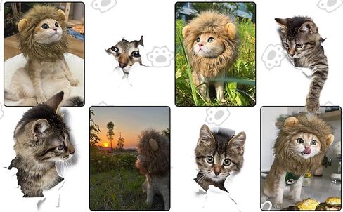 Lion Mane Costume for Cat, Cat Clothes Lion Mane Wig Funny Cat Halloween Costumes, Lion Costume for Cats and Kittens, Ideal for Halloween, Cat Birthday, Cat Cosplay, Cat Outfits in Saudi Arabia
