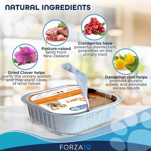 Forza10 طعام الكلاب الرطب، أغذية الكلى مع لحم الضأن، 3.5 أونصة، طعام الكلاب الرطب، طعام الكلاب المعلب لدعم الكلى، 32 علبة in Saudi Arabia