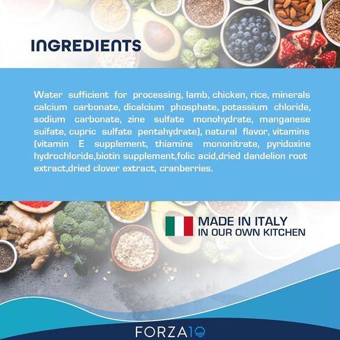 Forza10 طعام الكلاب الرطب، أغذية الكلى مع لحم الضأن، 3.5 أونصة، طعام الكلاب الرطب، طعام الكلاب المعلب لدعم الكلى، 32 علبة in Saudi Arabia