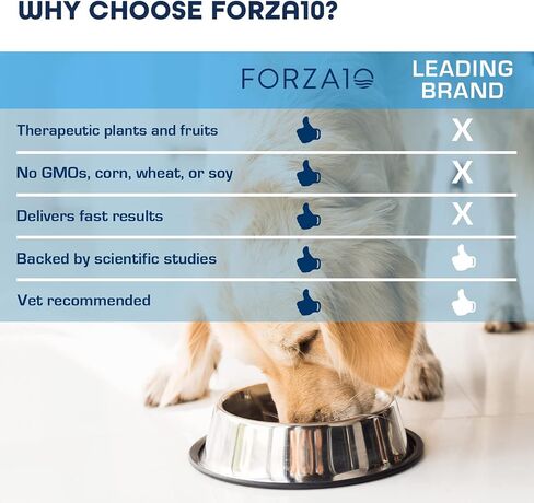 Forza10 طعام الكلاب الرطب، أغذية الكلى مع لحم الضأن، 3.5 أونصة، طعام الكلاب الرطب، طعام الكلاب المعلب لدعم الكلى، 32 علبة in Saudi Arabia