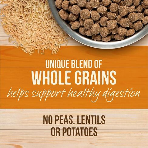 Merrick Healthy Grains Freeze Dried Raw Coated Kibble, Natural High Protein Dog Food, Chicken and Brown Rice - 10.0 lb. Bag in Saudi Arabia