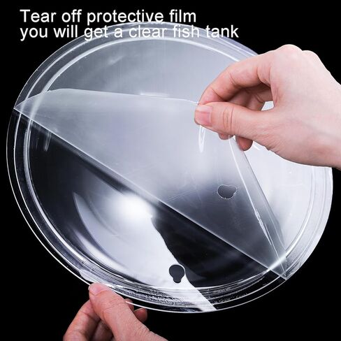 wuweot خزان الأسماك المعلق على الحائط، 9 بوصة نبات الأكريليك تررم حوض السمك حوض السمك، ديكور الحائط فقاعة الأسماك النباتية مع النباتات وهمية والحجر الملون (0.5 جالون السمك) in Kuwait