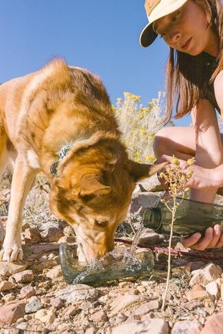 OllyDog OllyBottle، زجاجة مياه للكلاب، موزع مياه للحيوانات الأليفة مع وعاء قابل للفصل، ملحقات الحيوانات الأليفة للمشي في الهواء الطلق، والمشي لمسافات طويلة، والسفر (600 مل، رمادي) in Kuwait