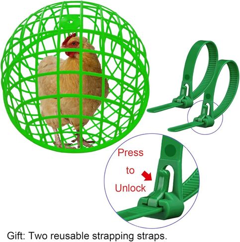 حظيرة دجاج متحركة على شكل كرة مقاس 15 بوصة، شبكة مشي آمنة على شكل أرنب حمامة، تمنع داسها الحصان، والافتراس بواسطة النسور والذئاب وعضات الكلاب. قفص أمان قابل للإزالة للحيوانات الأليفة يمنع التحرش in Kuwait