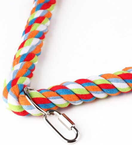 لعبة طيور متأرجحة بحبل مثلث متوسط، قفص الببغاء، أقفاص كونور رمادي أفريقي in Kuwait