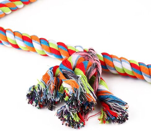 لعبة طيور متأرجحة بحبل مثلث متوسط، قفص الببغاء، أقفاص كونور رمادي أفريقي in Kuwait