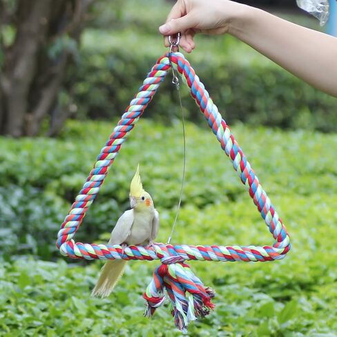 لعبة طيور متأرجحة بحبل مثلث متوسط، قفص الببغاء، أقفاص كونور رمادي أفريقي in Kuwait