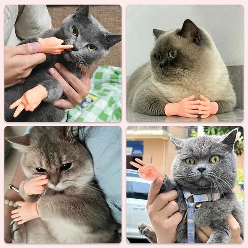 10 قطع من الأيدي الصغيرة للقطط، أيدي مرنة صغيرة لمخلب القطط، أيدي أصابع مطاطية صغيرة مضحكة لأداء الكمامة، عرض الدمى، هدايا الحفلات in Kuwait