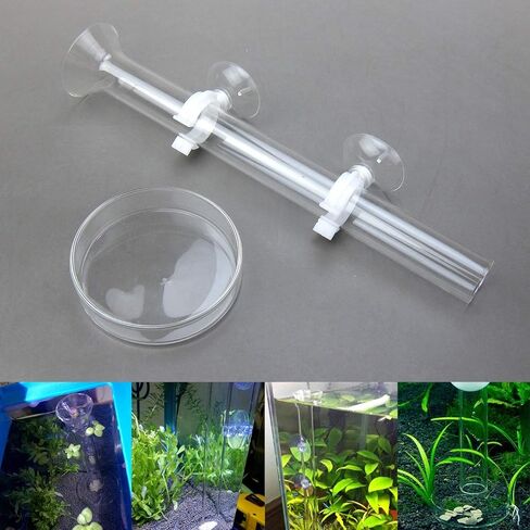 Alfie Pet - مجموعة Dexter مكونة من قطعتين أنبوب تغذية زجاجي شفاف أو قنفذ البحر مع طبق - الحجم: 30 سم in Kuwait