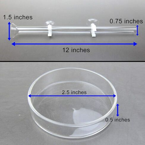 Alfie Pet - مجموعة Dexter مكونة من قطعتين أنبوب تغذية زجاجي شفاف أو قنفذ البحر مع طبق - الحجم: 30 سم in Kuwait