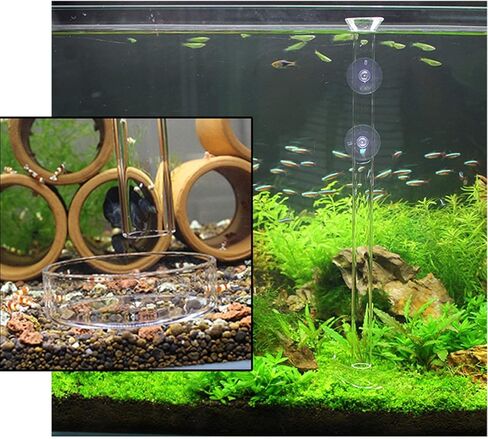 Alfie Pet - مجموعة Dexter مكونة من قطعتين أنبوب تغذية زجاجي شفاف أو قنفذ البحر مع طبق - الحجم: 30 سم in Kuwait