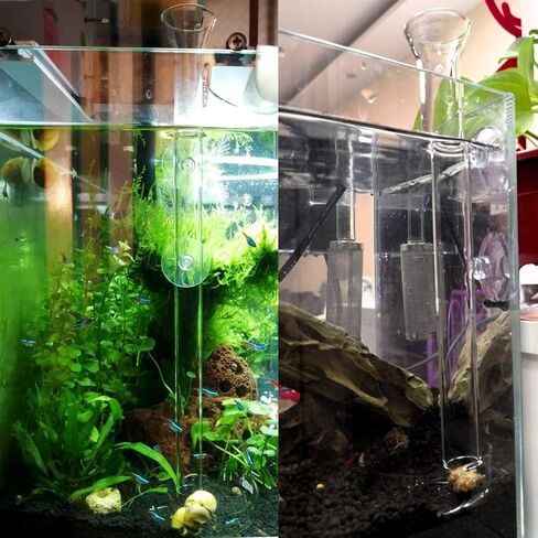 Alfie Pet - مجموعة Dexter مكونة من قطعتين أنبوب تغذية زجاجي شفاف أو قنفذ البحر مع طبق - الحجم: 30 سم in Kuwait