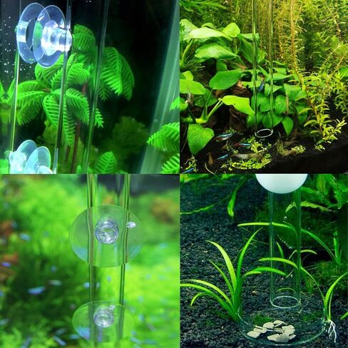 Alfie Pet - مجموعة Dexter مكونة من قطعتين أنبوب تغذية زجاجي شفاف أو قنفذ البحر مع طبق - الحجم: 30 سم in Kuwait