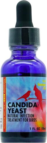 منتجات طيور الصباح، مكمل خميرة المبيضات للطيور، 1 أونصة in Kuwait