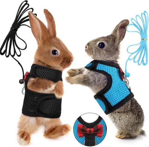 2 Pieces Guinea Pig Clothes Soft Mesh Guinea Pig Harness with Safe Bell, Baby Ferret Harness and Leash Set for Hamster, Baby Ferrets, Rats, Guinea Pig, Chinchilla, Teacup Chihuahua (Blue, Black,M) in Saudi Arabia