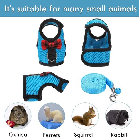 2 Pieces Guinea Pig Clothes Soft Mesh Guinea Pig Harness with Safe Bell, Baby Ferret Harness and Leash Set for Hamster, Baby Ferrets, Rats, Guinea Pig, Chinchilla, Teacup Chihuahua (Blue, Black,M) in Saudi Arabia