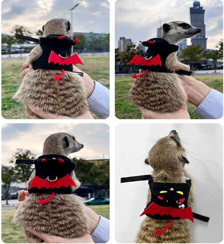 Ferret Harness and Leash, Adjustable Ferret Walking Vest for Squirrel and Small Animal, Soft and Breathable Ferret Lead Leash with Evil Wings and Safe Bell (Evil) in Saudi Arabia