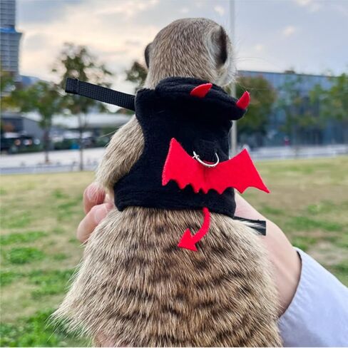 Ferret Harness and Leash, Adjustable Ferret Walking Vest for Squirrel and Small Animal, Soft and Breathable Ferret Lead Leash with Evil Wings and Safe Bell (Evil) in Saudi Arabia