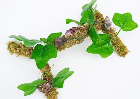12 Inch Hermit Crab Climbing Toys Entwined with Artificial Vines, Ideal Hermit Crab Habitat Tank Accessories in Saudi Arabia