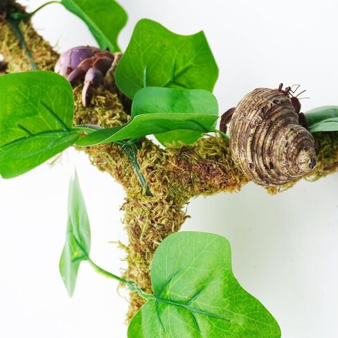 12 Inch Hermit Crab Climbing Toys Entwined with Artificial Vines, Ideal Hermit Crab Habitat Tank Accessories in Saudi Arabia
