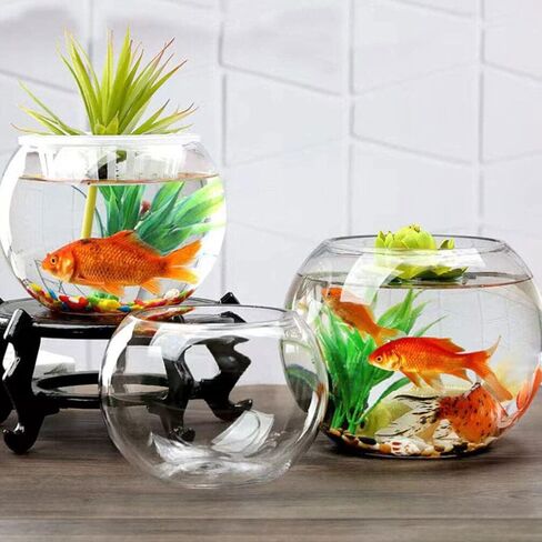 IMIKEYA Glass Bubble Bowl Bowl Glass Vase Clear Bubble Planter Terrarium Fish Bowl Wide Mouth Flower Vase Hydroponic Planter Candy Dish Fruit Jar for Wedding Home Decor 15cm in Saudi Arabia