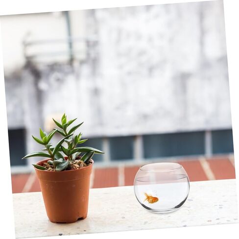 IMIKEYA Glass Bubble Bowl Bowl Glass Vase Clear Bubble Planter Terrarium Fish Bowl Wide Mouth Flower Vase Hydroponic Planter Candy Dish Fruit Jar for Wedding Home Decor 15cm in Saudi Arabia
