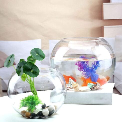 IMIKEYA Glass Bubble Bowl Bowl Glass Vase Clear Bubble Planter Terrarium Fish Bowl Wide Mouth Flower Vase Hydroponic Planter Candy Dish Fruit Jar for Wedding Home Decor 15cm in Saudi Arabia