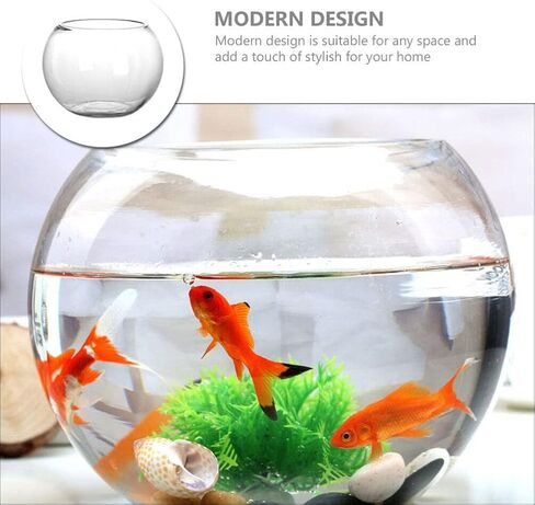 IMIKEYA Glass Bubble Bowl Bowl Glass Vase Clear Bubble Planter Terrarium Fish Bowl Wide Mouth Flower Vase Hydroponic Planter Candy Dish Fruit Jar for Wedding Home Decor 15cm in Saudi Arabia