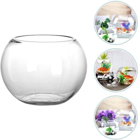 IMIKEYA Glass Bubble Bowl Bowl Glass Vase Clear Bubble Planter Terrarium Fish Bowl Wide Mouth Flower Vase Hydroponic Planter Candy Dish Fruit Jar for Wedding Home Decor 15cm in Saudi Arabia
