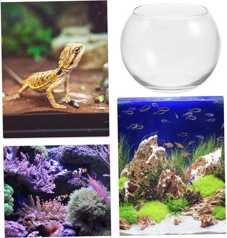 IMIKEYA Glass Bubble Bowl Bowl Glass Vase Clear Bubble Planter Terrarium Fish Bowl Wide Mouth Flower Vase Hydroponic Planter Candy Dish Fruit Jar for Wedding Home Decor 15cm in Saudi Arabia