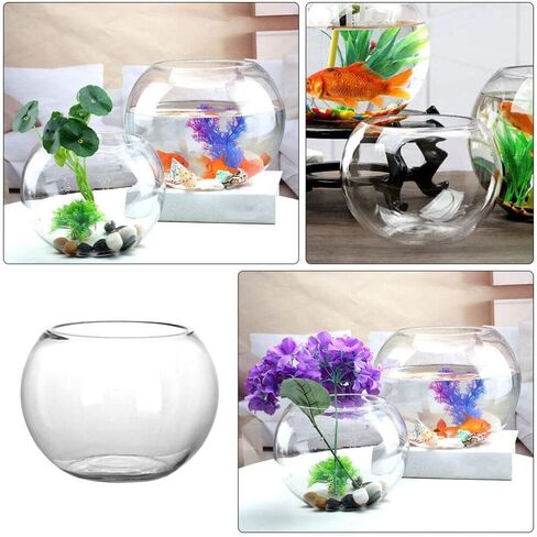 IMIKEYA Glass Bubble Bowl Bowl Glass Vase Clear Bubble Planter Terrarium Fish Bowl Wide Mouth Flower Vase Hydroponic Planter Candy Dish Fruit Jar for Wedding Home Decor 15cm in Saudi Arabia