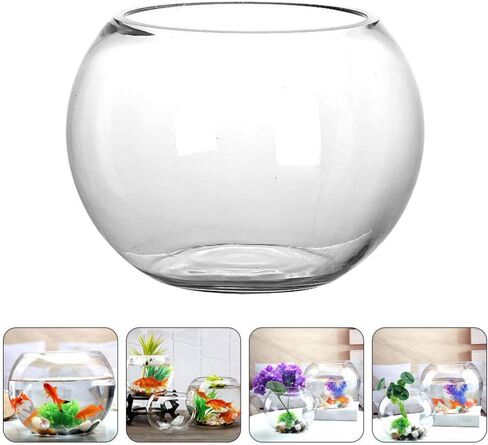 IMIKEYA Glass Bubble Bowl Bowl Glass Vase Clear Bubble Planter Terrarium Fish Bowl Wide Mouth Flower Vase Hydroponic Planter Candy Dish Fruit Jar for Wedding Home Decor 15cm in Saudi Arabia