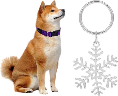 Madison Tyler Cute Dog Tag | Halloween Puppy Necklace Pendant for Jewelry Charms | Holiday Halloween Dog Charms | Dog Collar Charms | Pet Dog Lick or Treat Bat Lollipop in Saudi Arabia