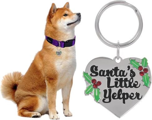 Madison Tyler Cute Dog Tag | Halloween Puppy Necklace Pendant for Jewelry Charms | Holiday Halloween Dog Charms | Dog Collar Charms | Pet Dog Lick or Treat Bat Lollipop in Saudi Arabia
